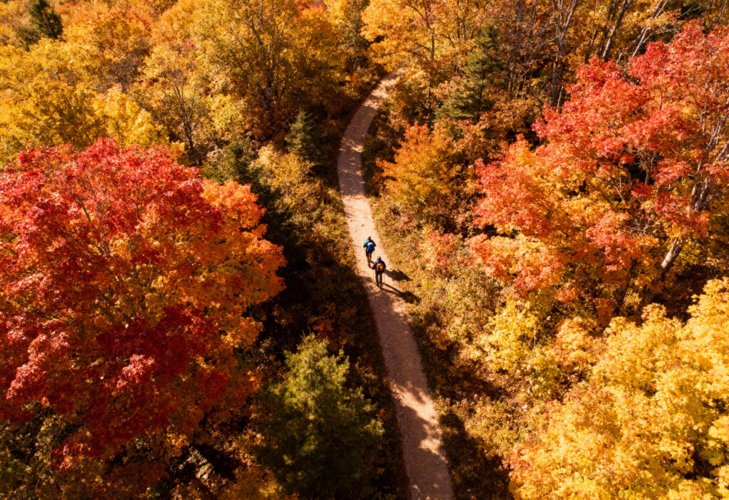 “Cool and windy autumn forest” “Family enjoying pumpkin pie and hot chocolate” “Children playing with fallen leaves in autumn”