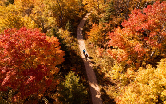 “Cool and windy autumn forest” “Family enjoying pumpkin pie and hot chocolate” “Children playing with fallen leaves in autumn”